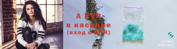амф Россошь