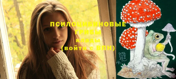 прущая мука Армянск