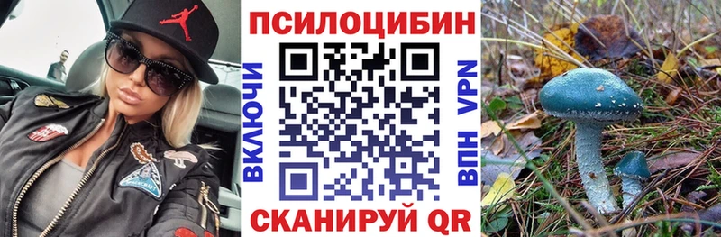 Псилоцибиновые грибы MAGIC MUSHROOMS  KRAKEN   Спас-Деменск  купить закладку 